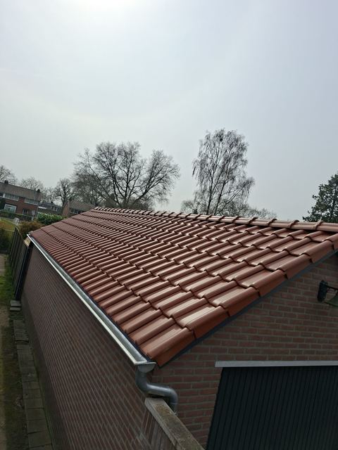 Detail van de dakbedekking